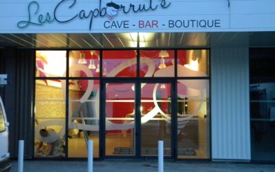 vitrines micro perforé sablage dépoli (5)